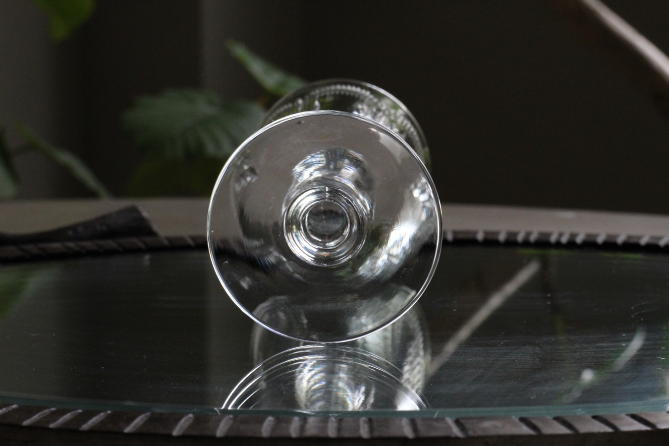 �Х��顡��ꥨ���롡�磻�󥰥饹��135mm��6753