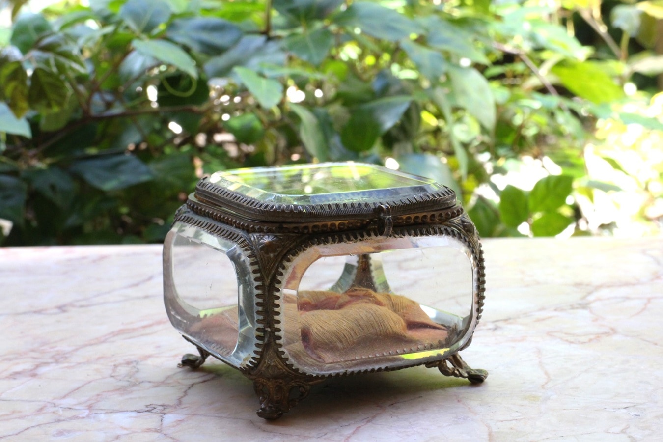 �ե�󥹡����奨�꡼��������6803_02