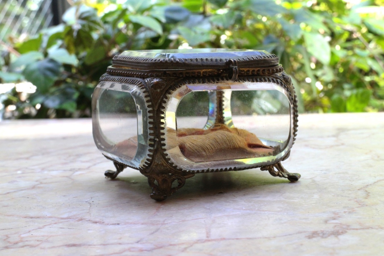 �ե�󥹡����奨�꡼��������6803_02