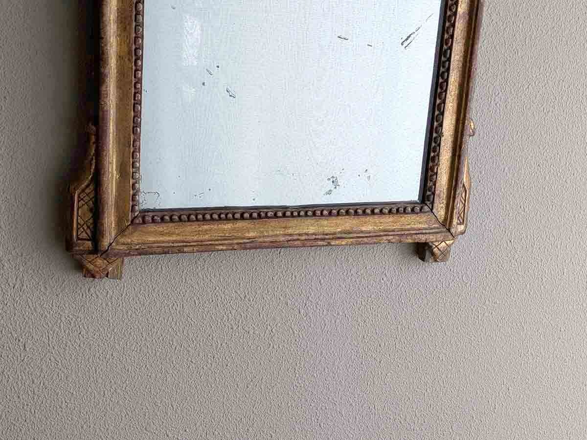 �ե�󥹡��륤16���ͼ�����Ϥȥ�ܥ�Ħ�蘆�줿�����Υ�����ɥߥ顼��7567