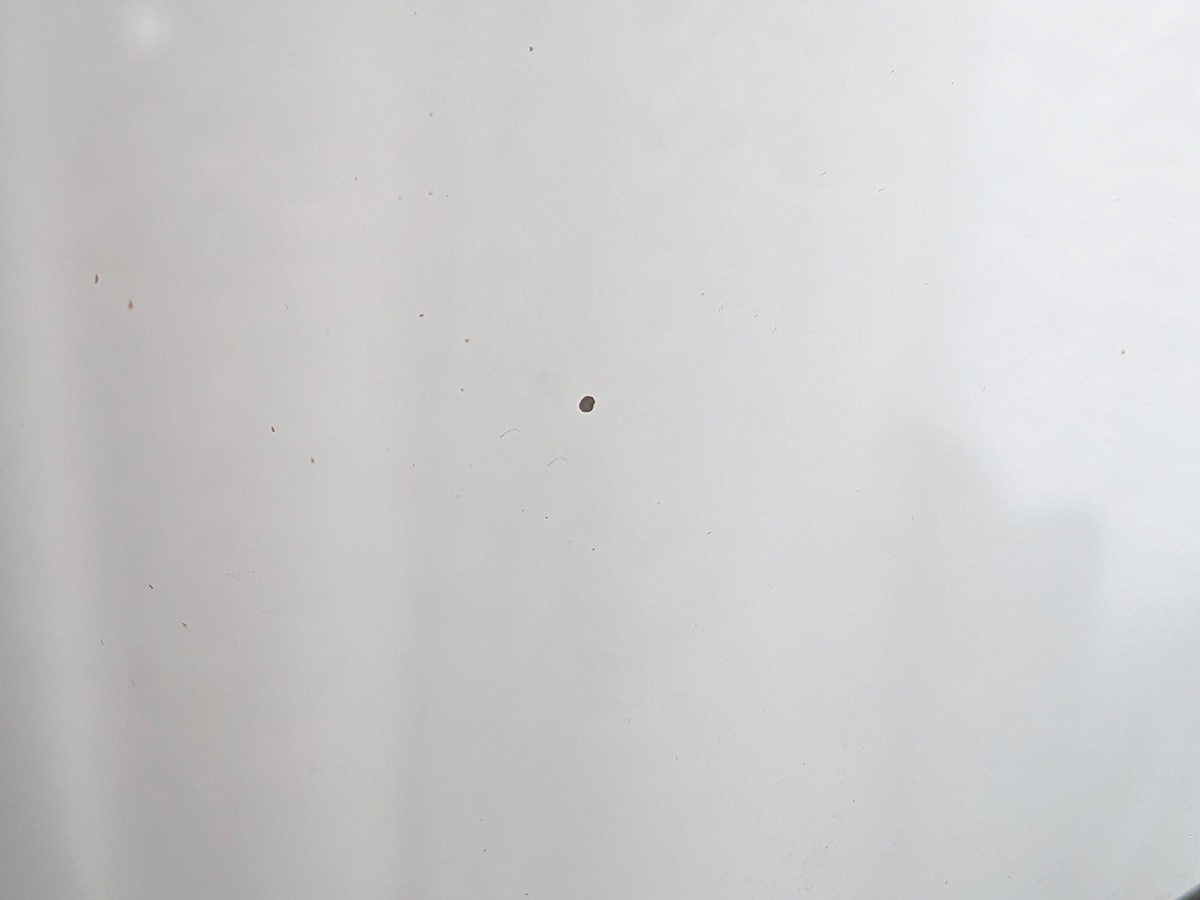 �ե�󥹡��������ʥ�����ɥߥ顼��7103