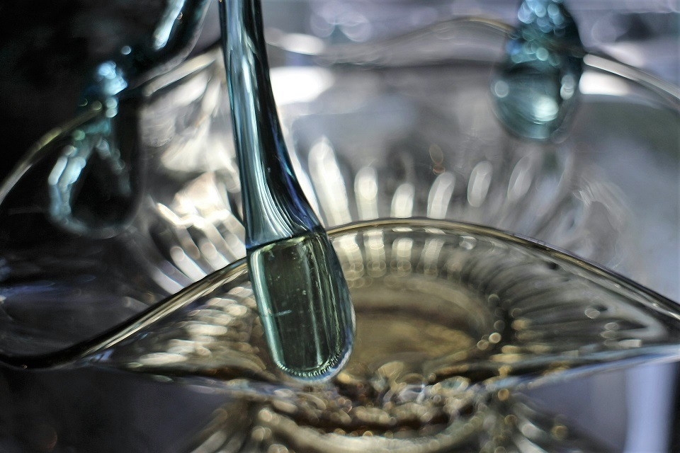 �ե�󥹡�����른�奵��ɡ��Х����åȷ��ѥ˥���5481