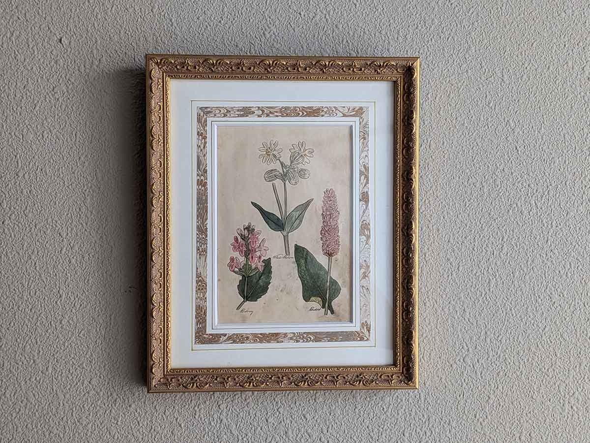 �ѹ񡡳�����Ƽ�ǲ��̿� ��The family herbal��John Hill 1812ǯ �إ��å����������&���ե����ɡ��١��ޥ�&���֥��ȥ�Υ��١�No.MA_JH17_FR