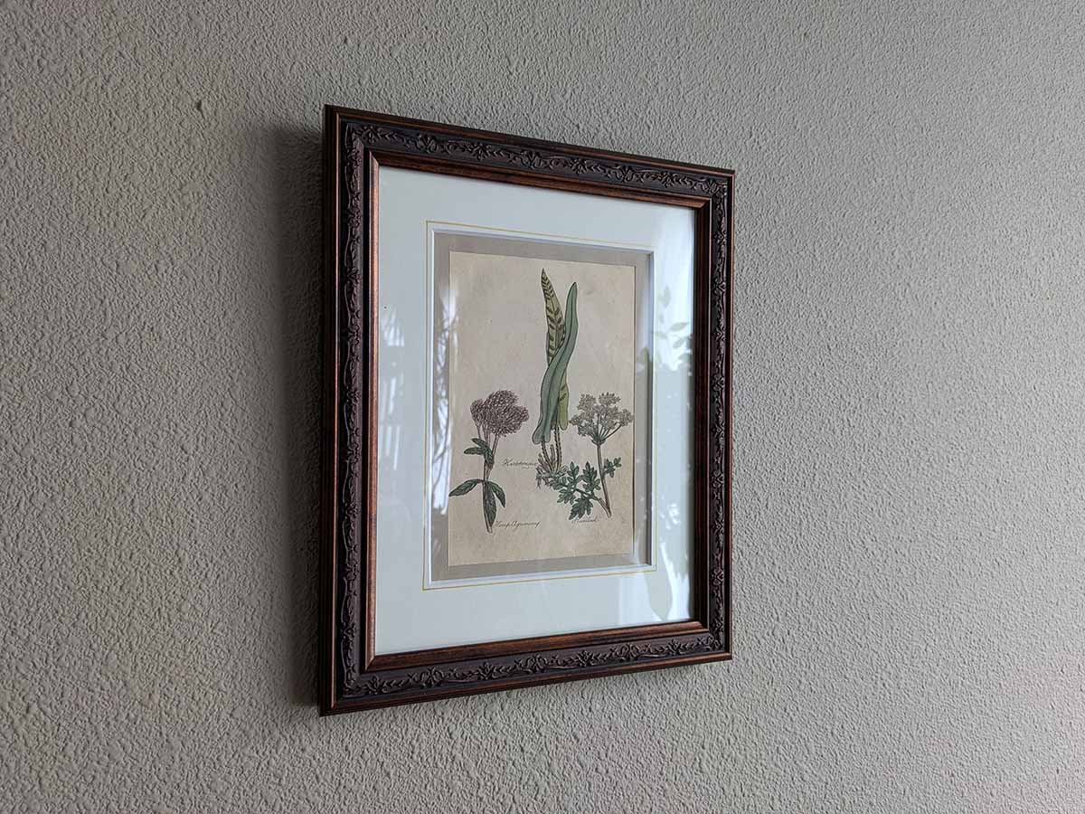 �ѹ񡡳�����Ƽ�ǲ��̿� ��The family herbal��John Hill 1812ǯ �إ����˥勵��&�إ�ץ������ˡ� &�ɥ��˥󥸥�١�No.MA_JH20_FR
