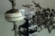 �ե�󥹡�����С��ȥ��ꥹ����ξ����ʥ١�����4263