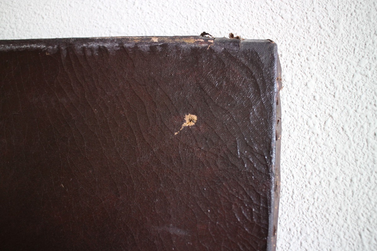 �ե�󥹡��򤤲֤��֤��֤������줿������6593