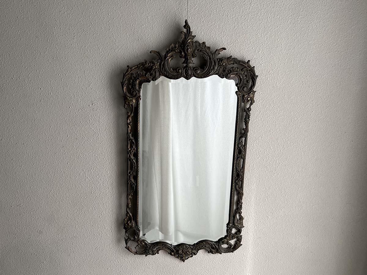 �ե�󥹡����������礭�ʥ֥��󥺥ߥ顼��6529