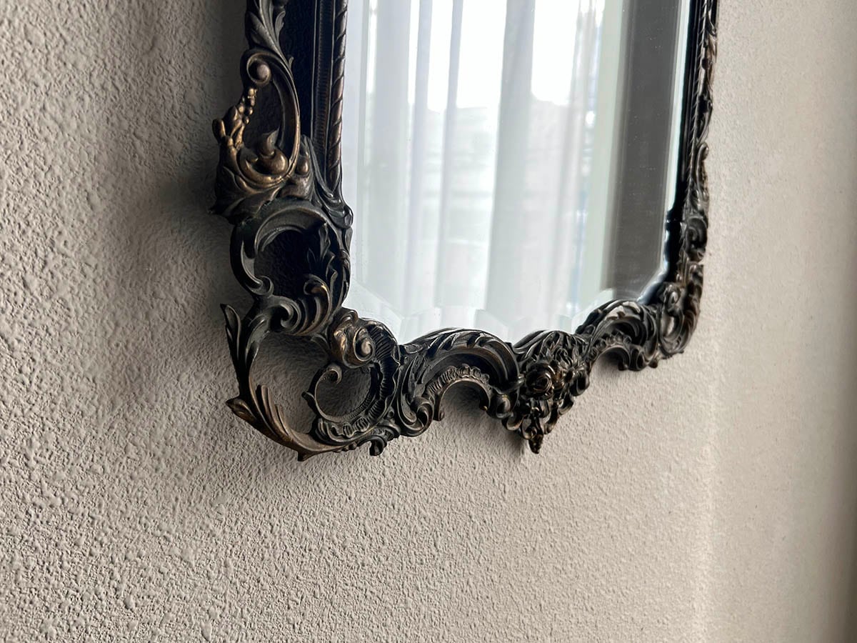 �ե�󥹡����������礭�ʥ֥��󥺥ߥ顼��6529