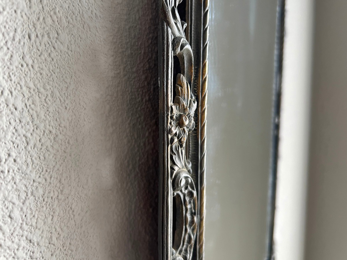 �ե�󥹡����������礭�ʥ֥��󥺥ߥ顼��6529