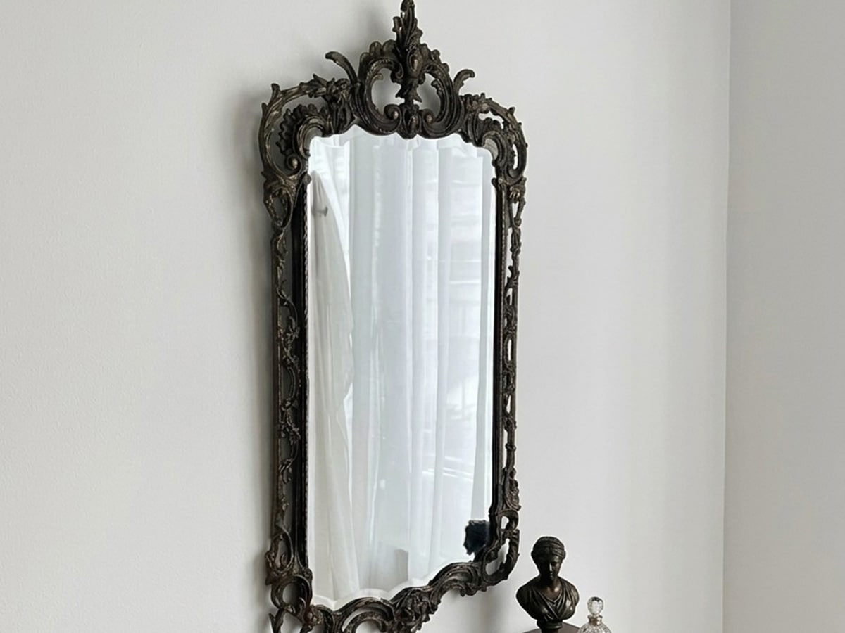 �ե�󥹡����������礭�ʥ֥��󥺥ߥ顼��6529