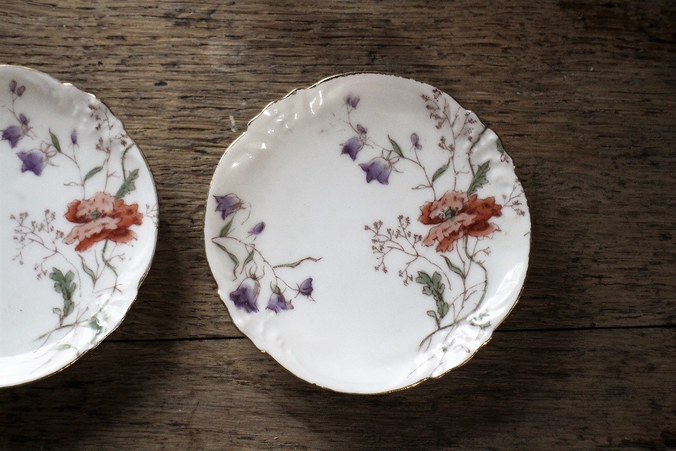 ⡼塡ɥҡ⡼ץ졼ȡ88mm5211_030405