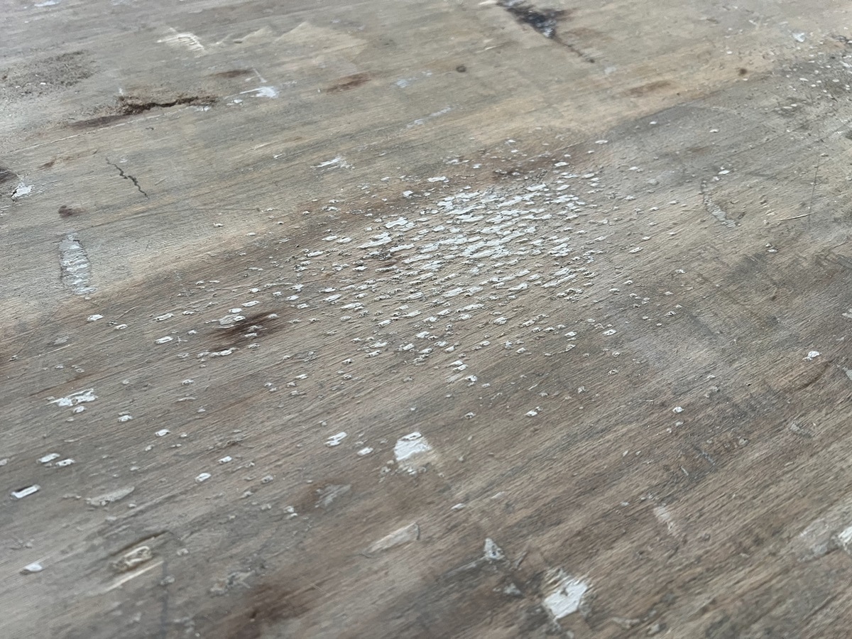 �ե������ڥ���ȥ����ɥܡ��ɡ�6442