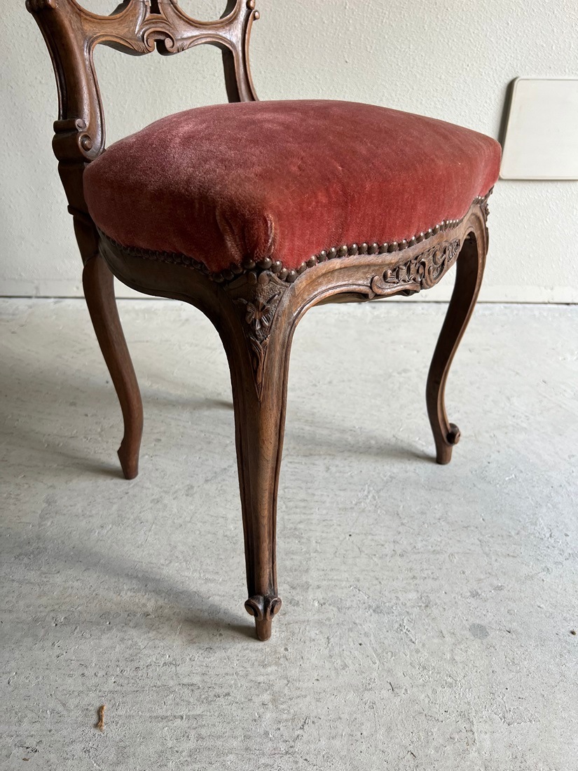 ��������Ħ�郎�������륤15���ͼ���ǭ­�Υ���������� 6649