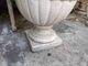 �ե�󥹡������ǥ�ץ�󥿡���7077
