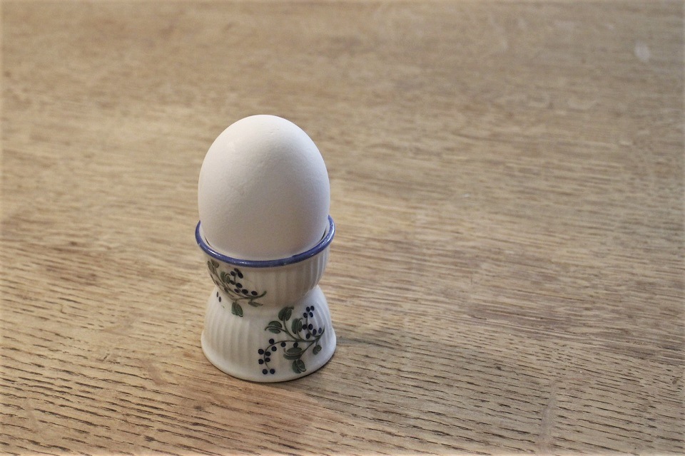 �ե�󥹡��֥롼�٥꡼�Τ褦�����Υ��å����åס�5495