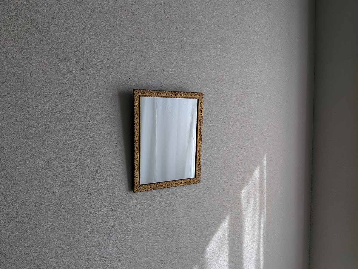�ե�󥹡�������ɥڥ���ƥåɥ��åǥ�ߥ顼��717902