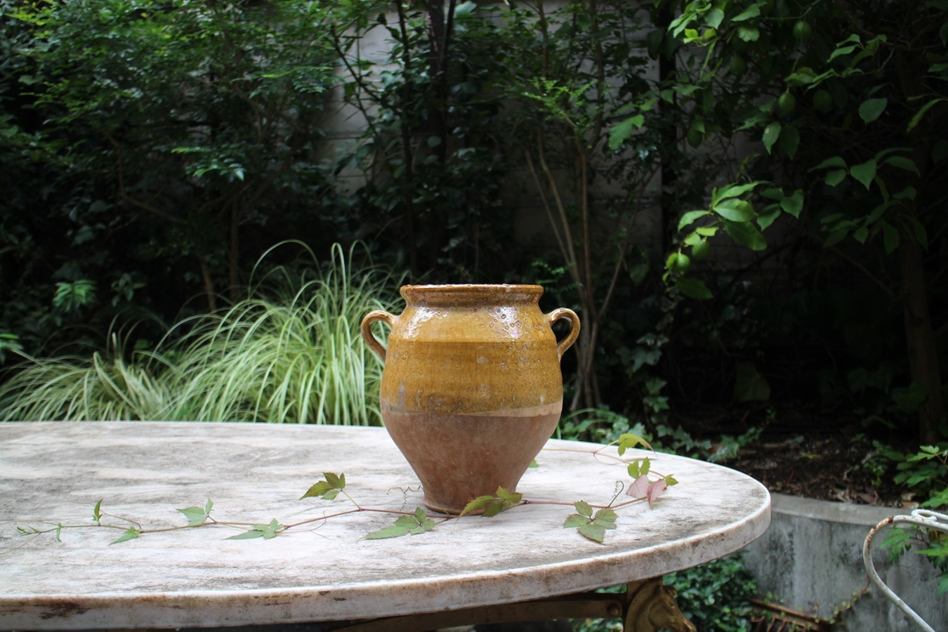 �ե��19��������ʩ��ƫ��ݥ��꡼���㡼��6325