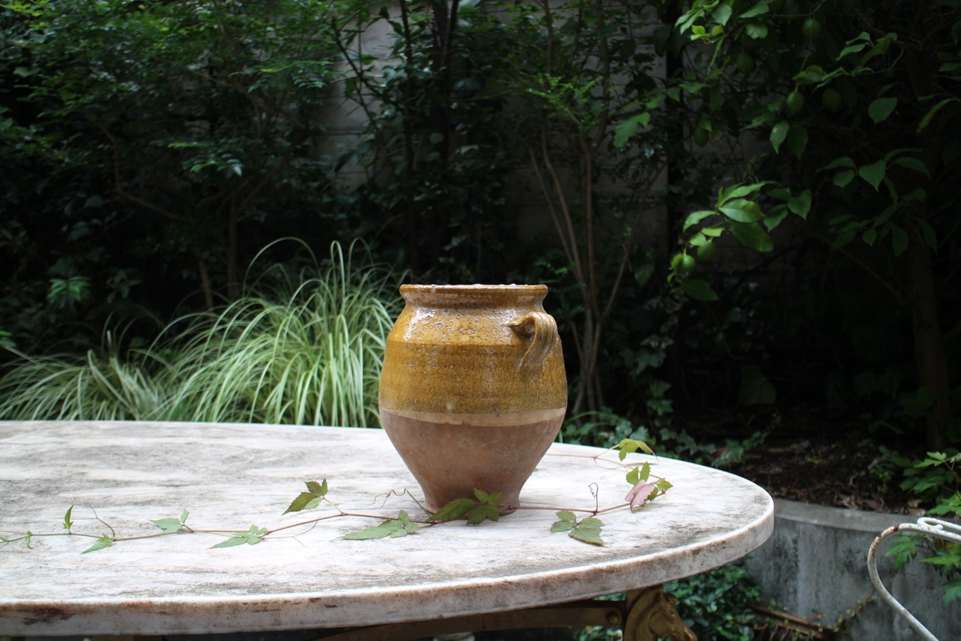 �ե��19��������ʩ��ƫ��ݥ��꡼���㡼��6325