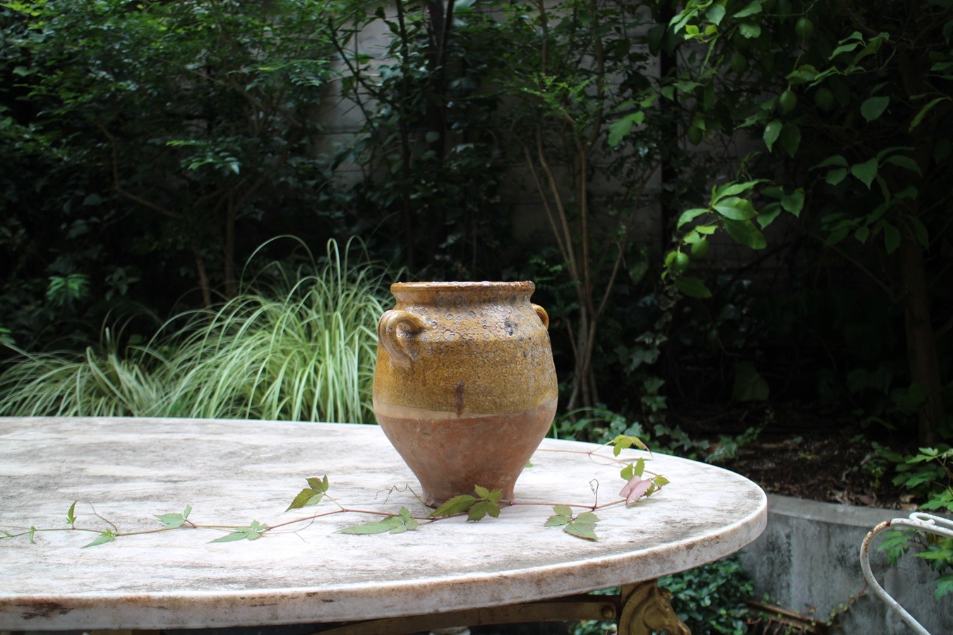 �ե��19��������ʩ��ƫ��ݥ��꡼���㡼��6325