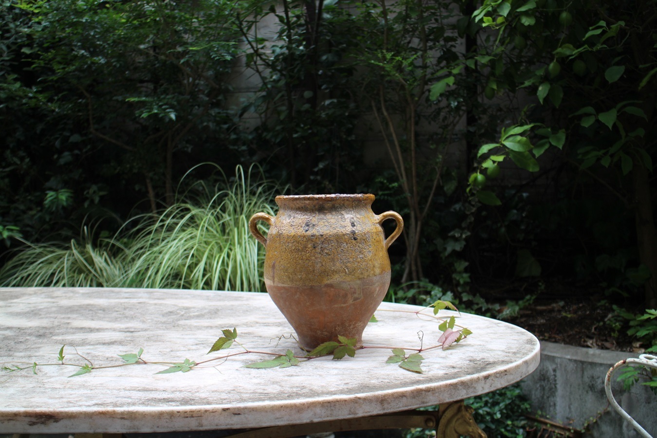 �ե��19��������ʩ��ƫ��ݥ��꡼���㡼��6325