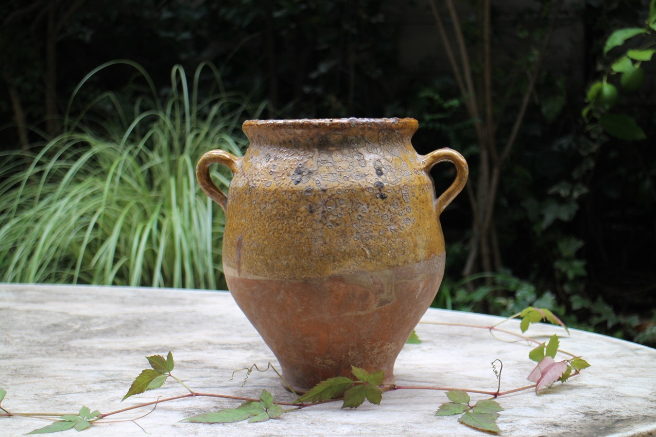 �ե��19��������ʩ��ƫ��ݥ��꡼���㡼��6325