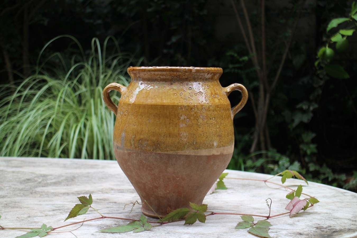 �ե��19��������ʩ��ƫ��ݥ��꡼���㡼��6325