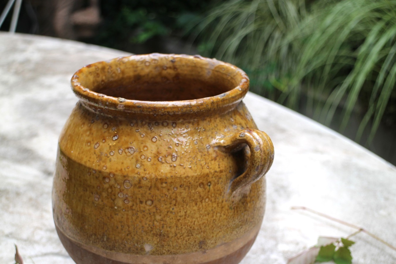 �ե��19��������ʩ��ƫ��ݥ��꡼���㡼��6325