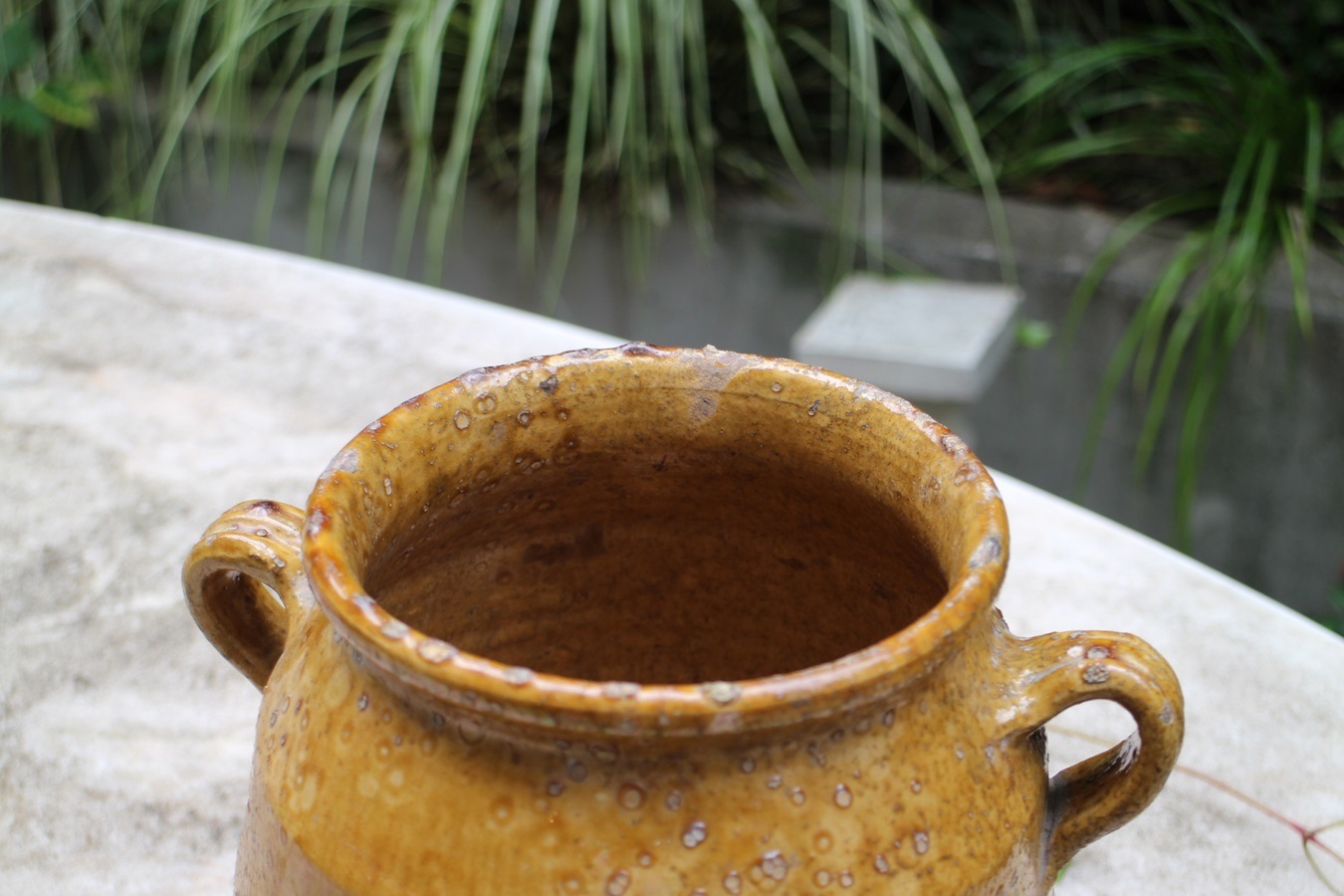 �ե��19��������ʩ��ƫ��ݥ��꡼���㡼��6325