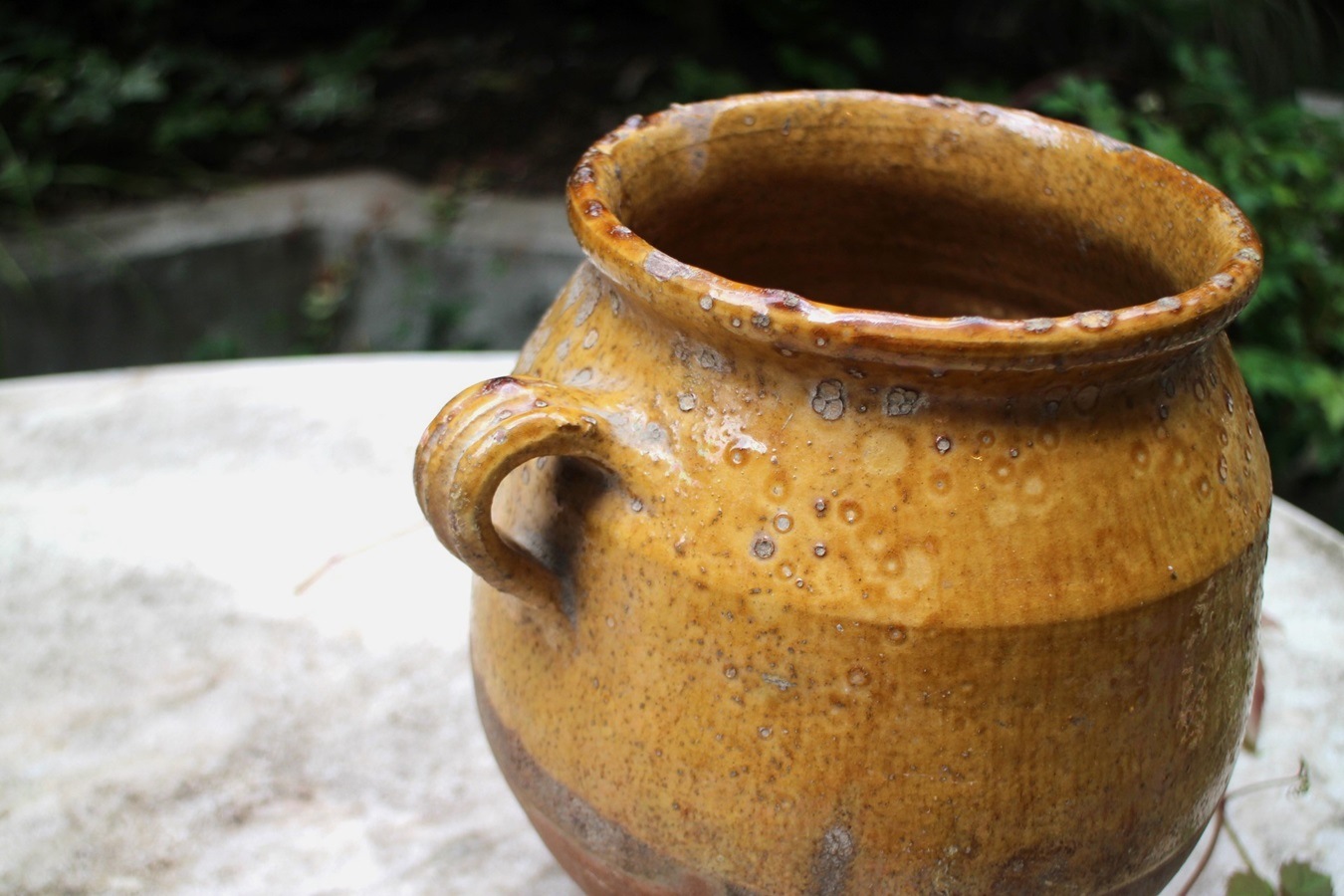 �ե��19��������ʩ��ƫ��ݥ��꡼���㡼��6325