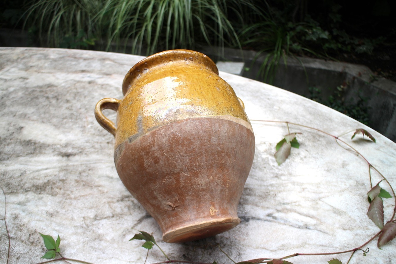 �ե��19��������ʩ��ƫ��ݥ��꡼���㡼��6325