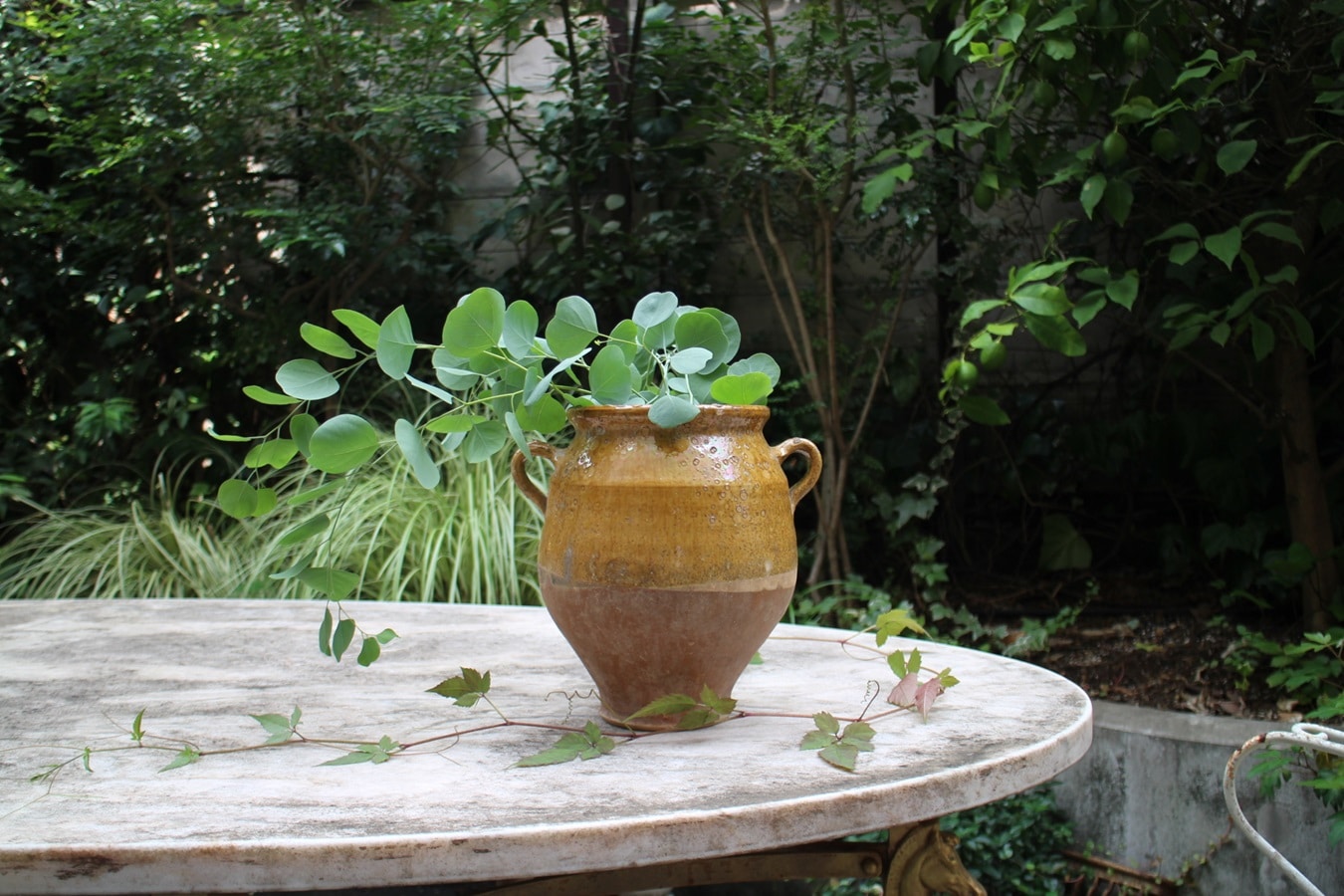 �ե��19��������ʩ��ƫ��ݥ��꡼���㡼��6325