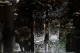 륤MIKADO֥顼130mm5965
