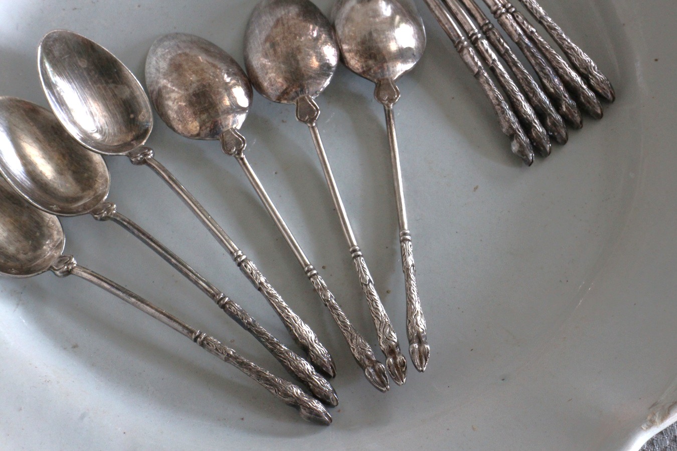 �ե�󥹡�Saint Medard�ʥ��󡦥������˥���С��ץ졼�ƥåɥ��ס���12�ܥ��åȡ�7367