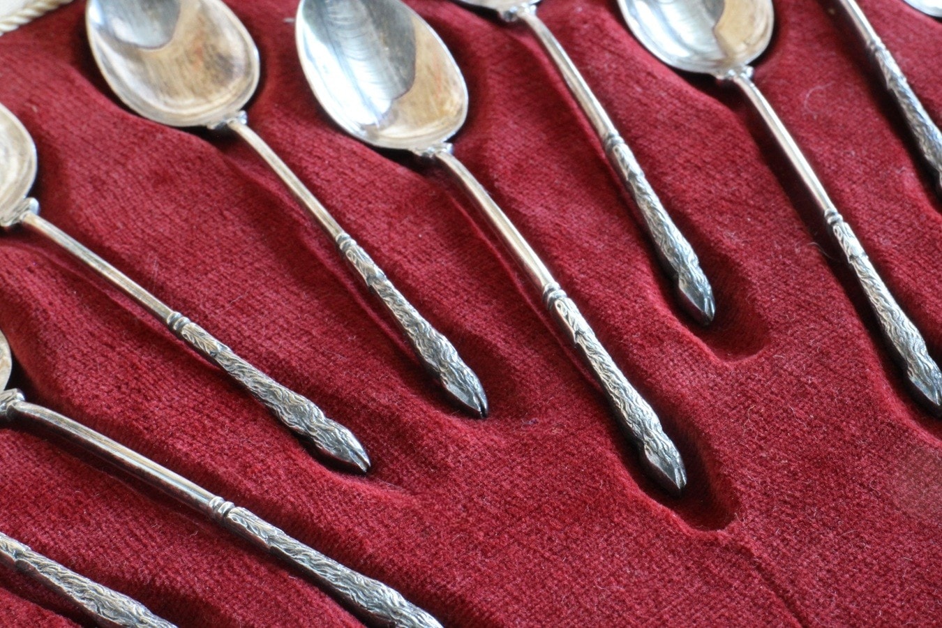 �ե�󥹡�Saint Medard�ʥ��󡦥������˥���С��ץ졼�ƥåɥ��ס���12�ܥ��åȡ�7367