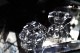 �ɡ��ࡡ����ȥǥ��å��塡�ڥ���5451