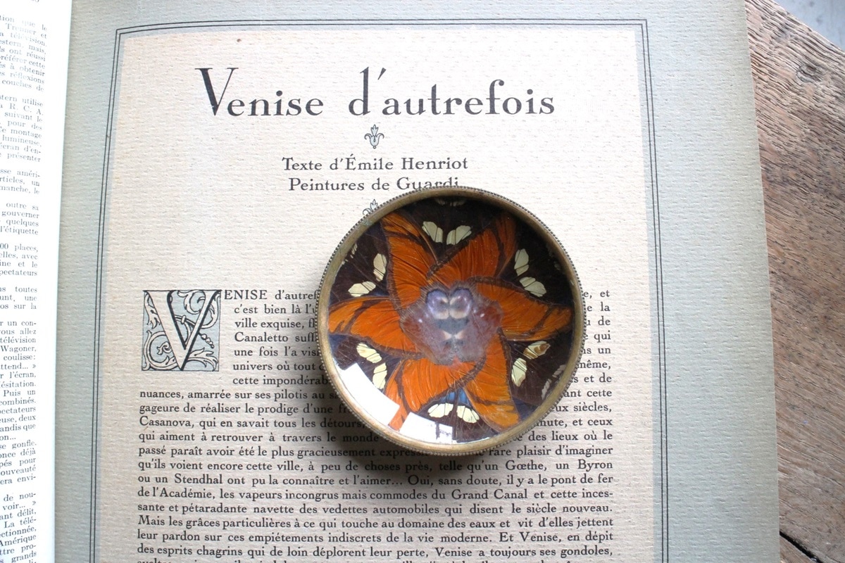 フランスアンティーク　トレー　プレート　薔薇　蝶々　エンボス加工　ブロカント フランスアンティークトレープレート薔薇蝶々エンボス加工ブロカント