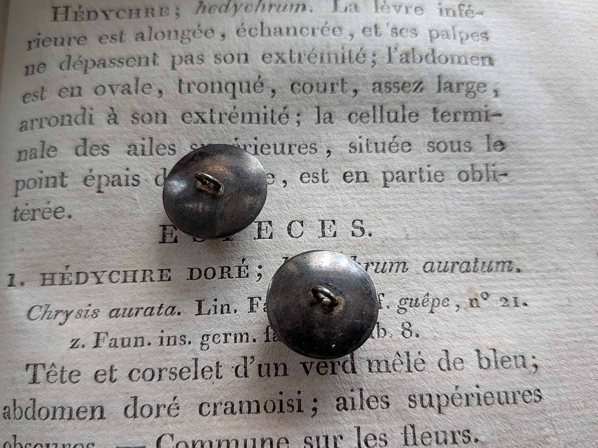 �ե�󥹡�����ƥ�������silver800 ���� �ե��ꥰ�꡼�ܥ��� ��16m����7263