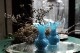�ե�󥹡�Portieux Vallerysthal (�ݥ�ƥ��桼��������ꥹ����ҡ� ���ѥ��ե��١�����5196