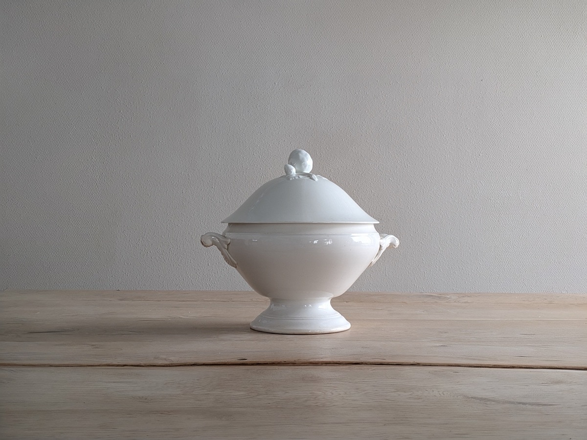 �ե��  ���ͥ����롡�����ԥ����롡7055