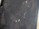 �ե�󥹡��ʥݥ쥪���������ܥˡ��ѥͥ롡7542