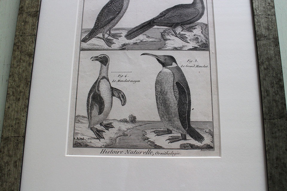 �ե�󥹡�������ɥץ���[������ɴ���ηϿ���ס���Ƽ�ǲ�˥ե졼�ࡡ0815_02