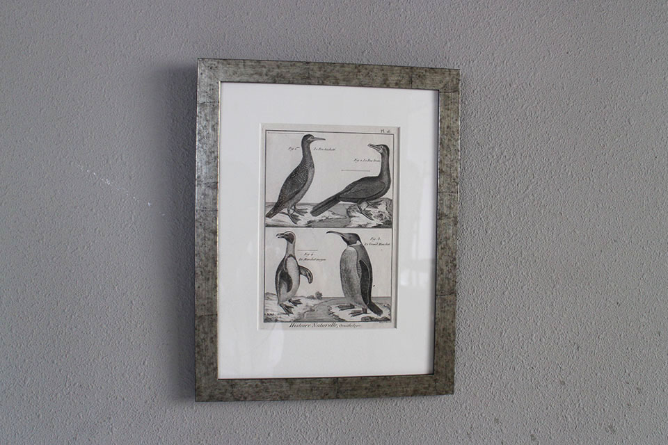 �ե�󥹡�������ɥץ���[������ɴ���ηϿ���ס���Ƽ�ǲ�˥ե졼�ࡡ0815_02