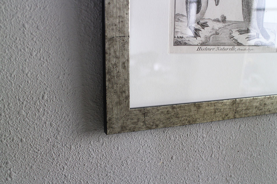 �ե�󥹡�������ɥץ���[������ɴ���ηϿ���ס���Ƽ�ǲ�˥ե졼�ࡡ0815_02