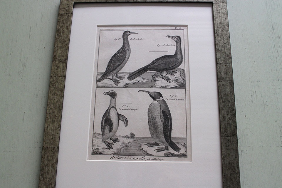 �ե�󥹡�������ɥץ���[������ɴ���ηϿ���ס���Ƽ�ǲ�˥ե졼�ࡡ0815_02