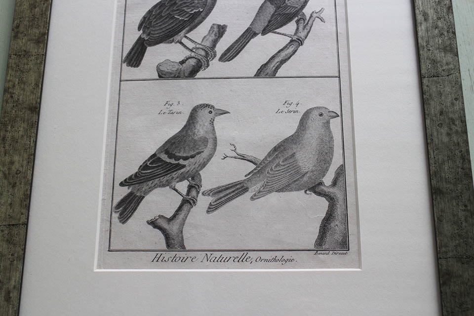 �ե�󥹡�������ɥץ���[������ɴ���ηϿ���ס���Ƽ�ǲ�˥ե졼�ࡡ0815_01