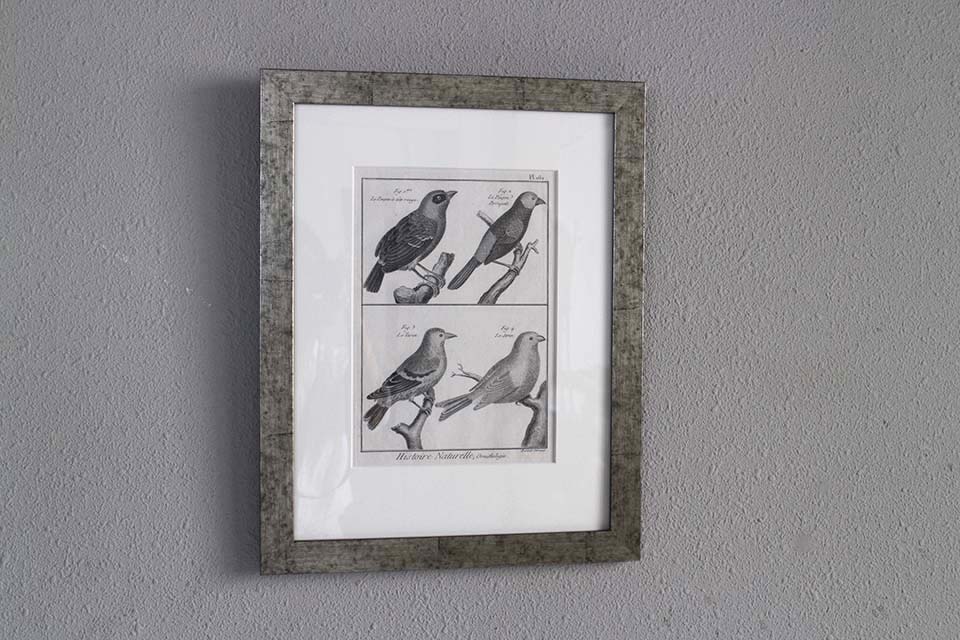 �ե�󥹡�������ɥץ���[������ɴ���ηϿ���ס���Ƽ�ǲ�˥ե졼�ࡡ0815_01