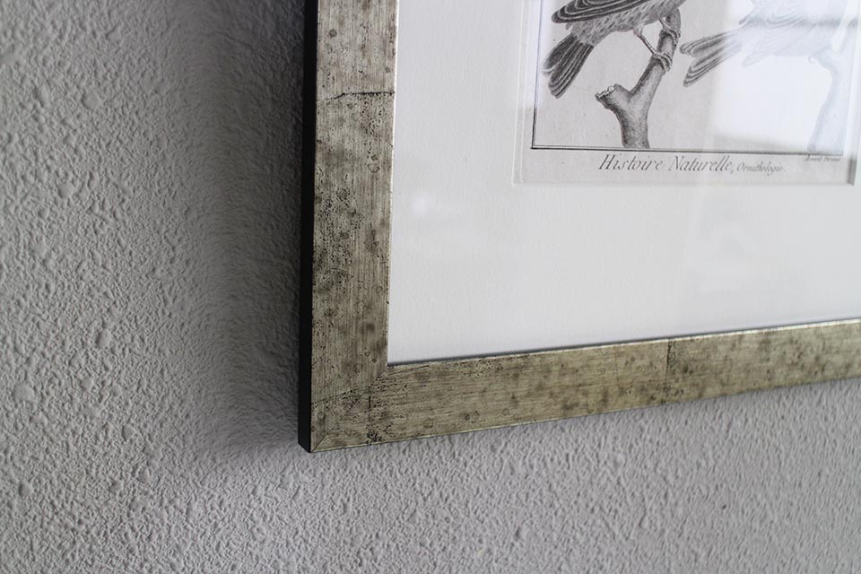 �ե�󥹡�������ɥץ���[������ɴ���ηϿ���ס���Ƽ�ǲ�˥ե졼�ࡡ0815_01