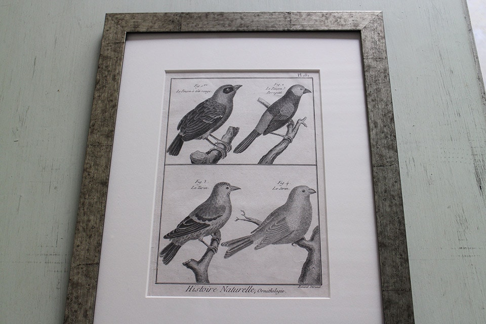 �ե�󥹡�������ɥץ���[������ɴ���ηϿ���ס���Ƽ�ǲ�˥ե졼�ࡡ0815_01