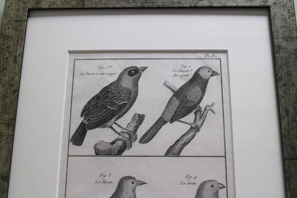 �ե�󥹡�������ɥץ���[������ɴ���ηϿ���ס���Ƽ�ǲ�˥ե졼�ࡡ0815_01