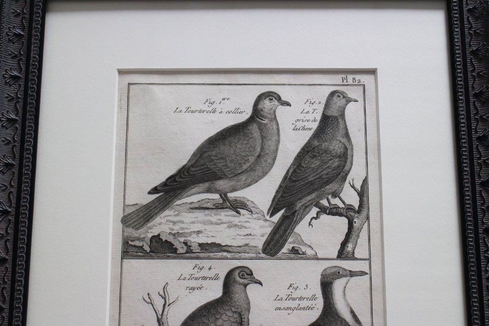 �ե�󥹡�������ɥץ���[������ɴ���ηϿ���ס���Ƽ�ǲ�˥ե졼�ࡡ0815_03